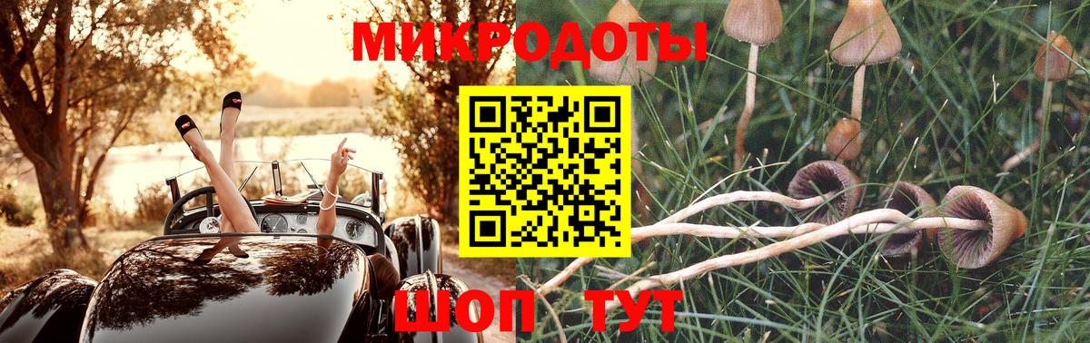 Псилоцибиновые грибы ЛСД Ялта